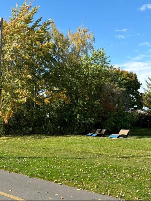 Cozy Spacious Work Friendly Lotus With Garden View High Speed Free Wi Fi And Parking Adjacent To Downtown Монреаль Экстерьер фото